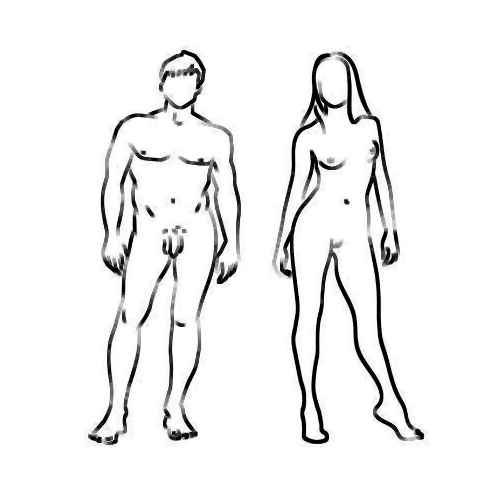 Immagine B/N con le sagome stilizzate dei corpi nudi di un uomo ed una donna  entramni in piedi, immagini frontali