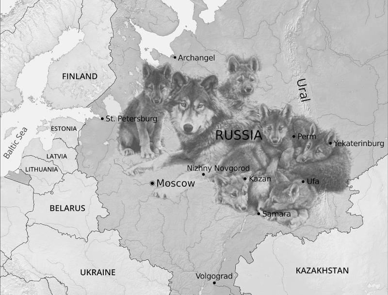 https://it.figu.org/images/arCartina dei confini politici della Russa ed Europa Orientale, il focus é posto su un branco di Lupi posti sulla RUssia, Lupi in branco vigili sul proprio territorio