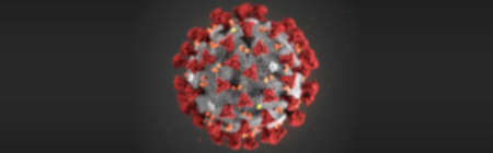 Virione della Covid-19, la particella virale con i chiodini (corona)