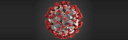 Rubrica: Coronavirus (Covid-19) Virione della Covid-19, la particella virale con i chiodini (corona)
